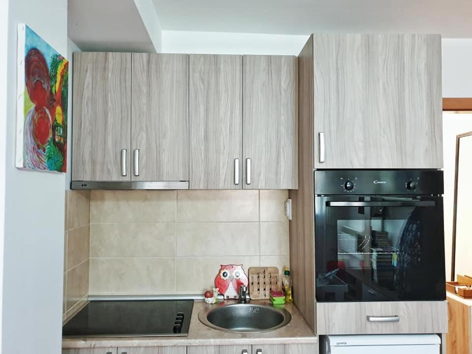 Apartamento Stan Na Dan Loznica Exterior foto